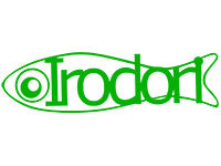 Irodori Workshop